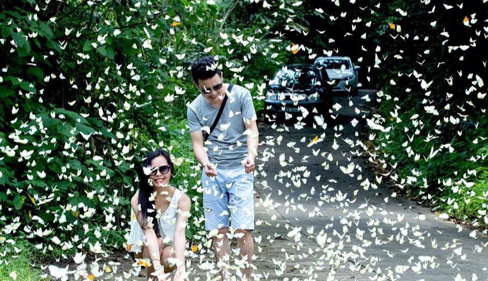 cuc-phuong-mua-buom-3