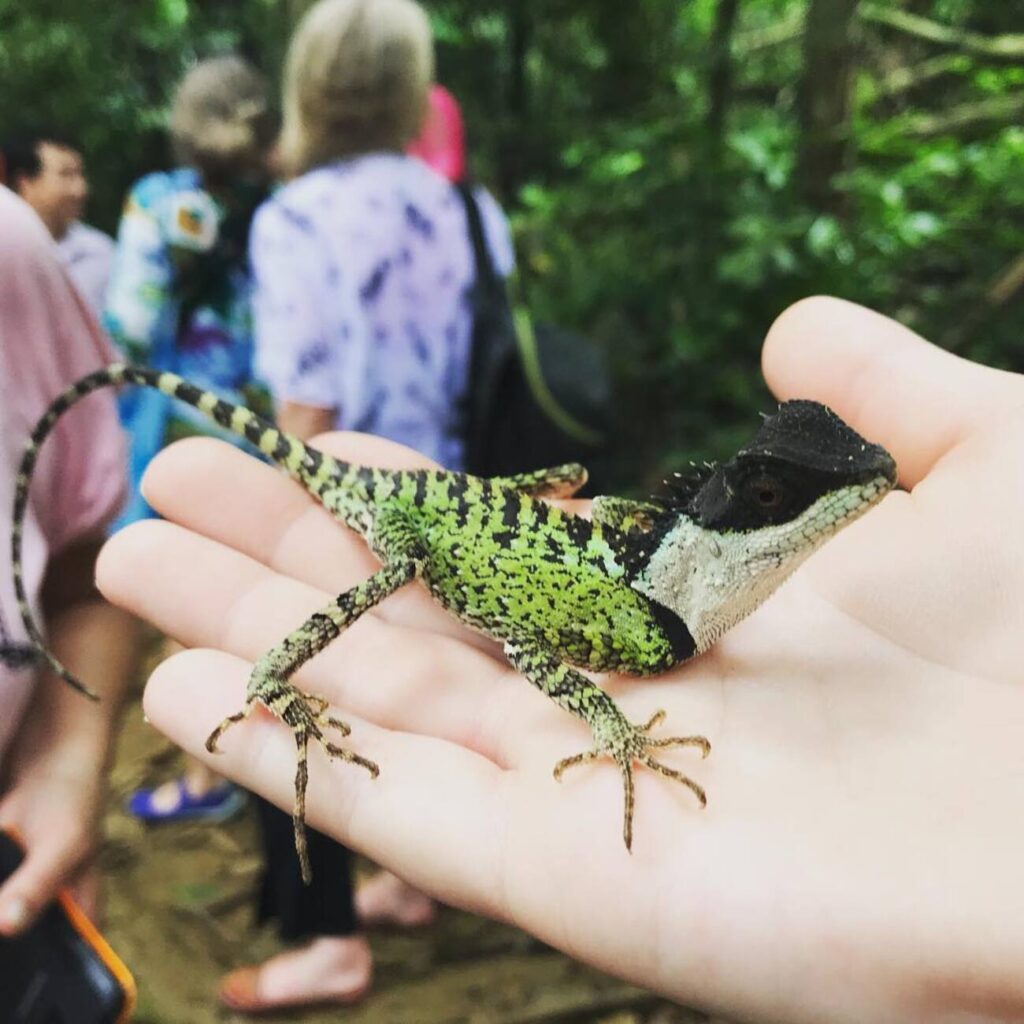 vuon-quoc-gia-cuc-phuong-38-1024x1024