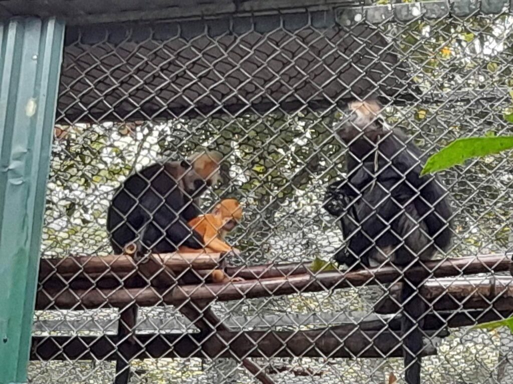 z4213239653950_23c71819bdb94a2398b624fe61a77f1d-1024x768