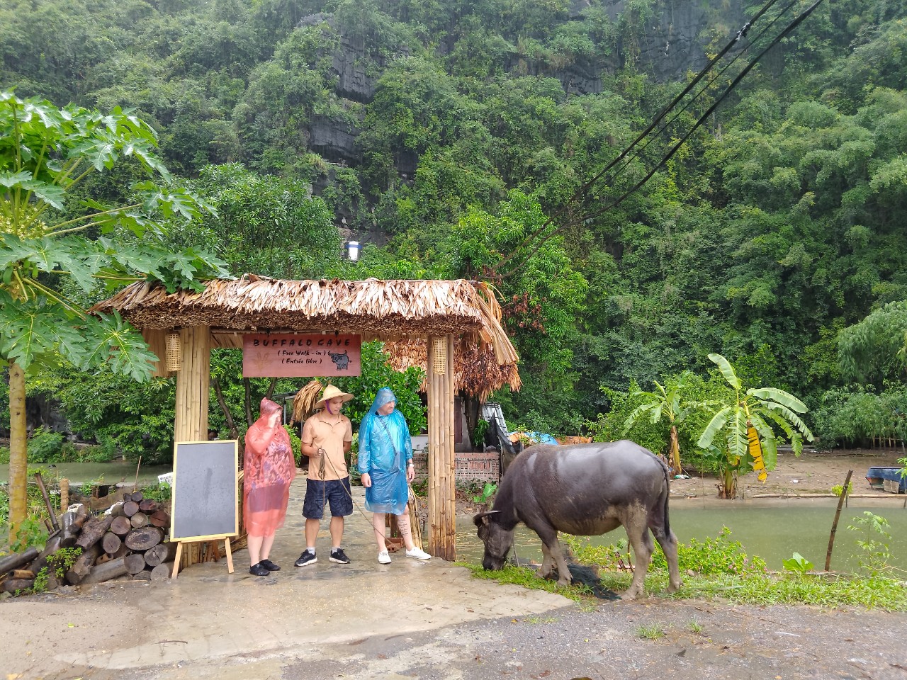 z4728623766757_d46ec46f3538bc544e7556d13e4b6b6e