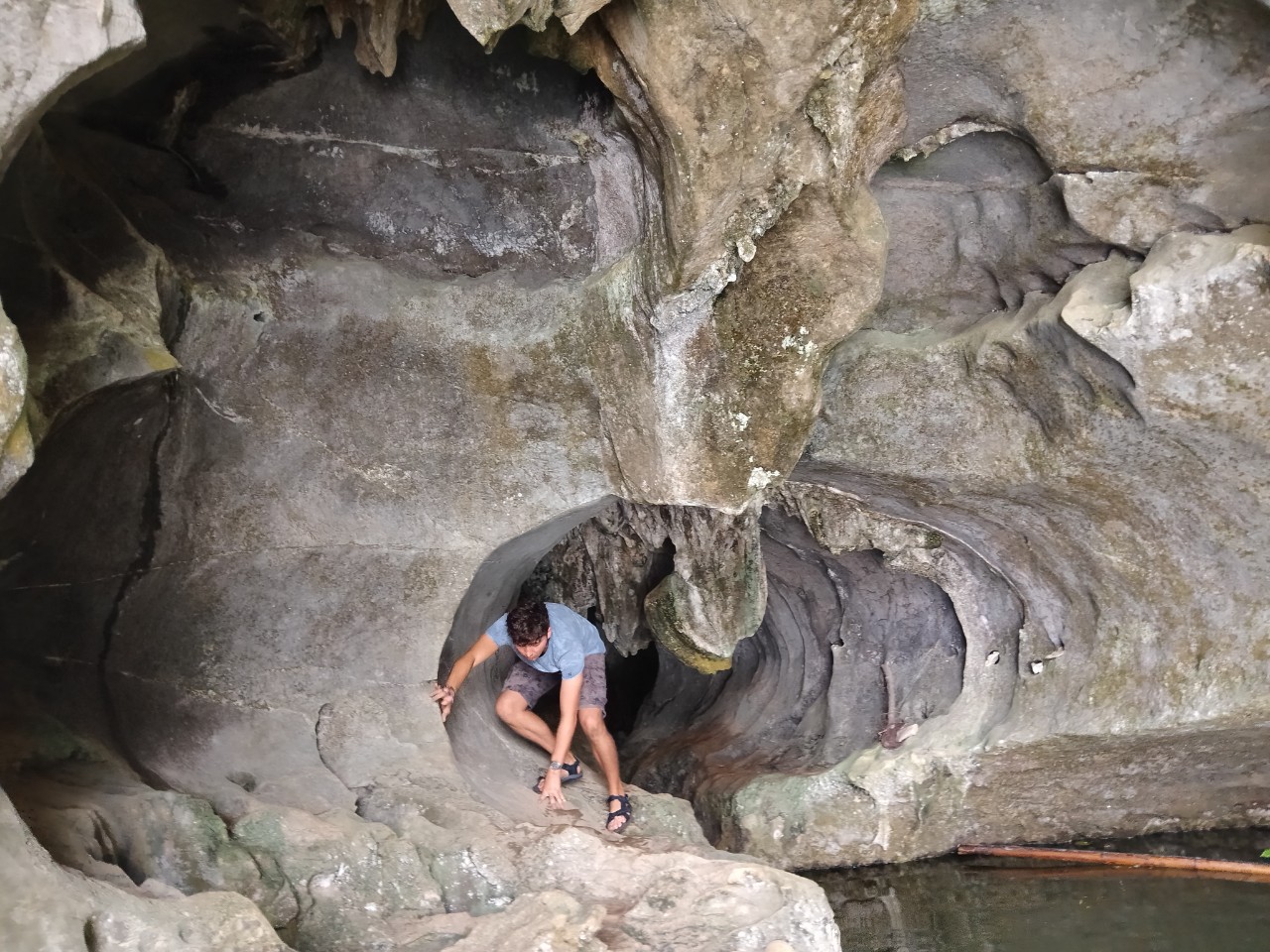 z4737299927164_0471019648d4dc3a0b3e54d38d19f92e